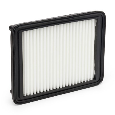 Air Filter RIDEX 8A0847 8A0847 - photo 8