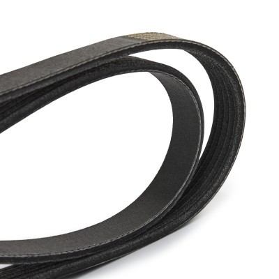 V-Ribbed Belt RIDEX 305P0500P 305P0500P - photo 4
