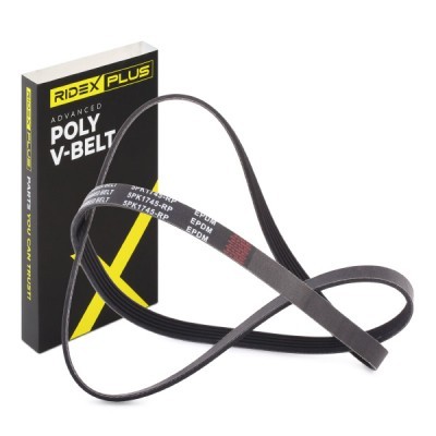 V-Ribbed Belt RIDEX 305P0160P 305P0160P - photo 2
