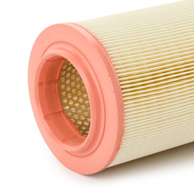 Air Filter RIDEX 8A0134 8A0134 - photo 9