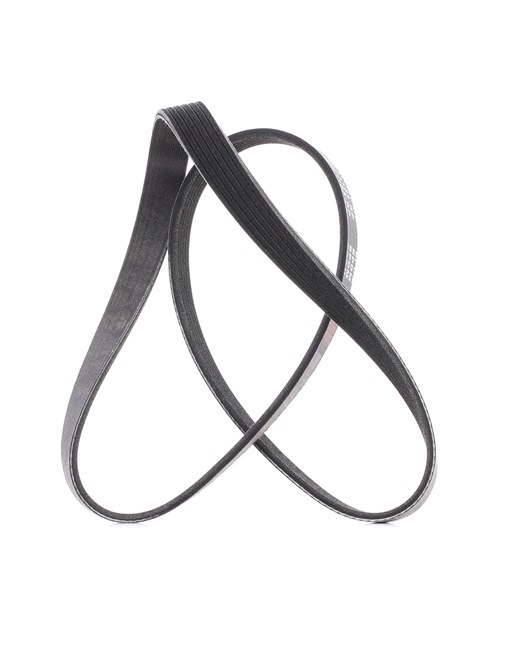 V-Ribbed Belt RIDEX 305P0059P 305P0059P - photo 1