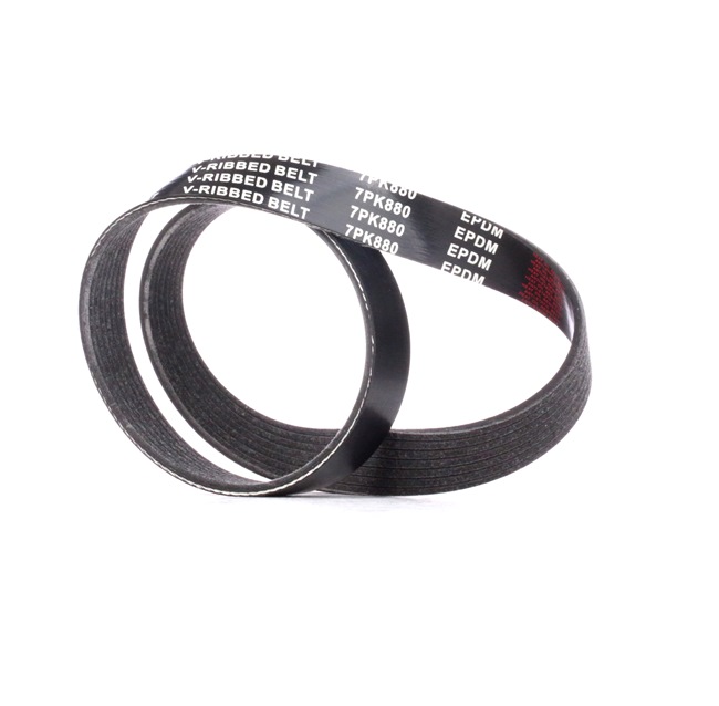V-Ribbed Belt RIDEX 305P0456 305P0456 - photo 1