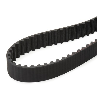 Timing Belt RIDEX 306T0162 306T0162 - photo 4