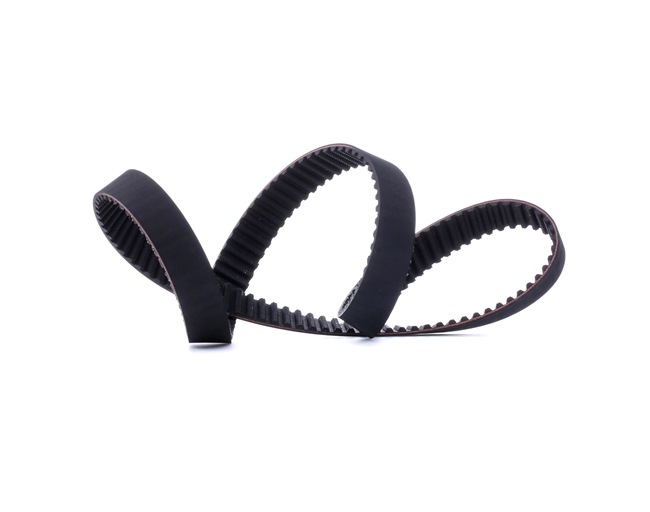 Timing Belt RIDEX 306T0116 306T0116 - photo 1