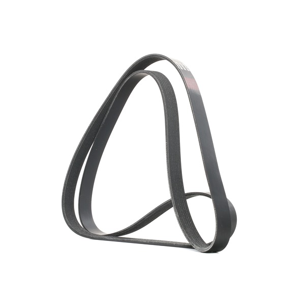 V-Ribbed Belt RIDEX 305P0246 305P0246 - photo 1