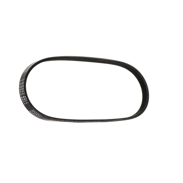 V-Ribbed Belt RIDEX 305P0167 305P0167 - photo 1
