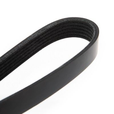 V-Ribbed Belt RIDEX 305P0146 305P0146 - photo 5