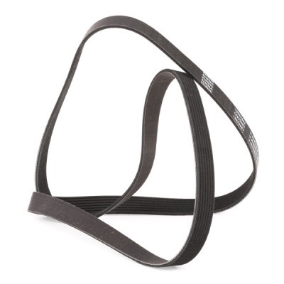 V-Ribbed Belt RIDEX 305P0323P 305P0323P - photo 4