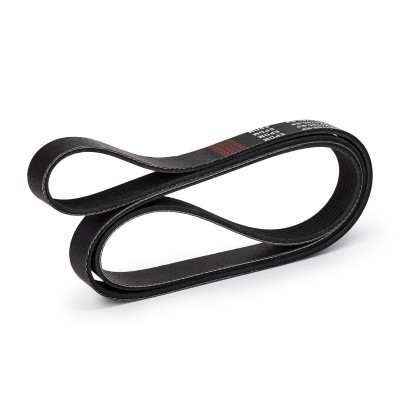 V-Ribbed Belt RIDEX 305P0323P 305P0323P - photo 8