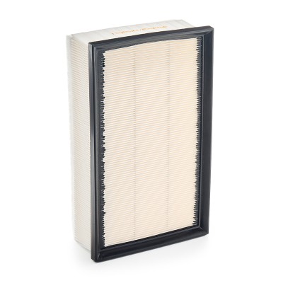 Air Filter RIDEX 8A0160 8A0160 - photo 8