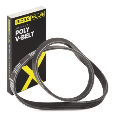 V-Ribbed Belt RIDEX 305P0553P 305P0553P - photo 2