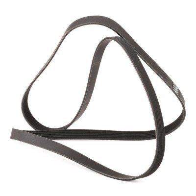 V-Ribbed Belt RIDEX 305P0180P 305P0180P - photo 3
