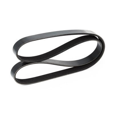 V-Ribbed Belt RIDEX 305P0118 305P0118 - photo 4