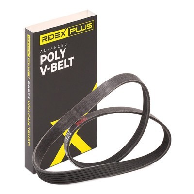 V-Ribbed Belt RIDEX 305P0055P 305P0055P - photo 2
