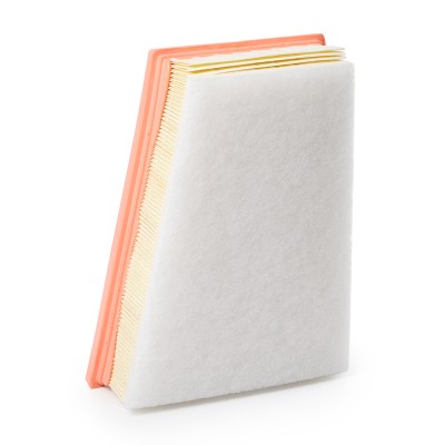 Air Filter RIDEX 8A0251 8A0251 - photo 9