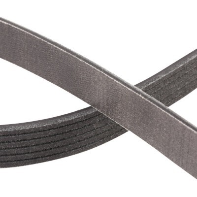 V-Ribbed Belt RIDEX 305P0110P 305P0110P - photo 5