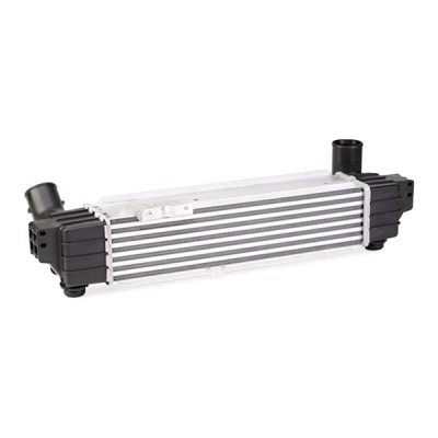 Intercooler, Charger RIDEX 468I0193 468I0193 - photo 4