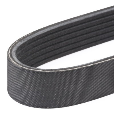 V-Ribbed Belt RIDEX 305P0072 305P0072 - photo 5