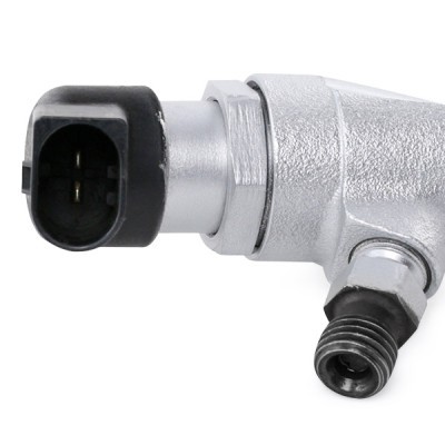 Injector (petrol) RIDEX 3905I0055R 3905I0055R - photo 3