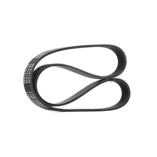 V-Ribbed Belt RIDEX 305P0057P 305P0057P - photo 1