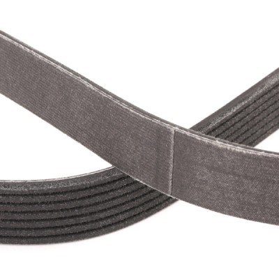 V-Ribbed Belt RIDEX 305P0344P 305P0344P - photo 5