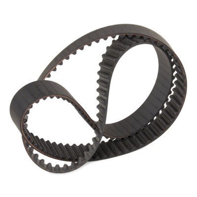 Timing Belt RIDEX 306T0172P 306T0172P - photo 3