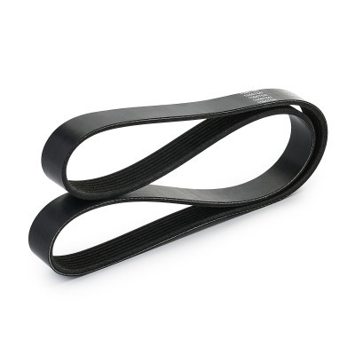 V-Ribbed Belt RIDEX 305P0547 305P0547 - photo 3