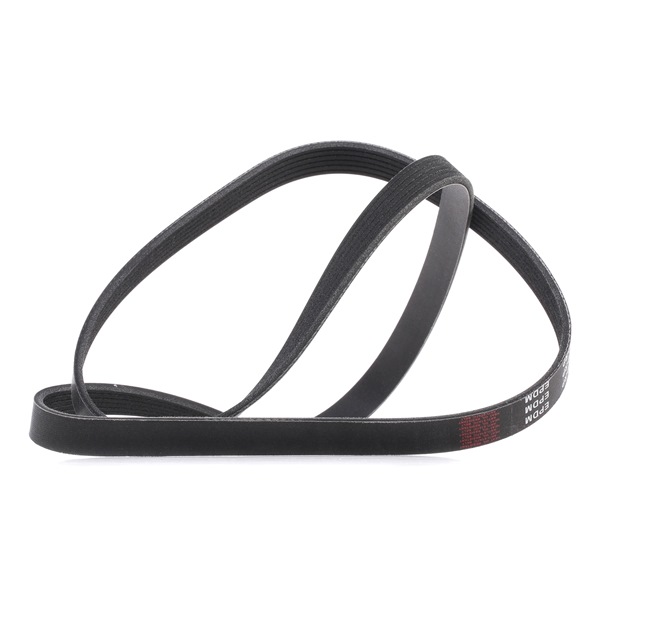 V-Ribbed Belt RIDEX 305P0074P 305P0074P - photo 1