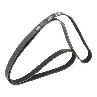 V-Belt RIDEX 305P0362P 305P0362P - photo 3