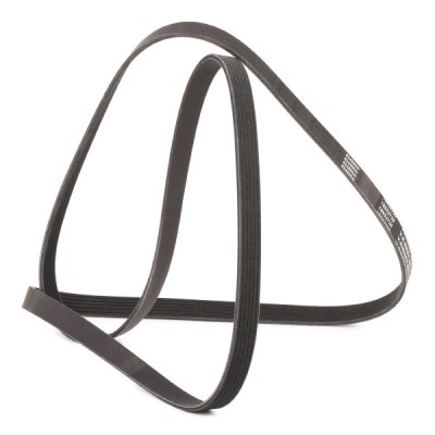 V-Ribbed Belt RIDEX 305P0162P 305P0162P - photo 3