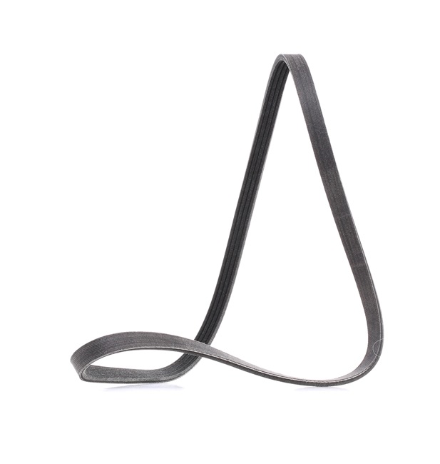 V-Ribbed Belt RIDEX 305P0201P 305P0201P - photo 1