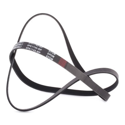 V-Ribbed Belt RIDEX 305P0160P 305P0160P - photo 3