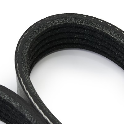 V-Ribbed Belt RIDEX 305P0529 305P0529 - photo 4