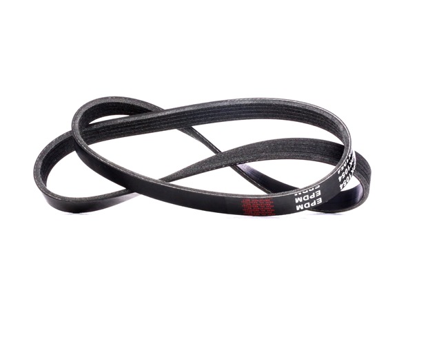 V-Ribbed Belt RIDEX 305P0314 305P0314 - photo 1