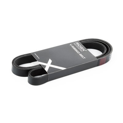 V-Ribbed Belt RIDEX 305P0081 305P0081 - photo 1