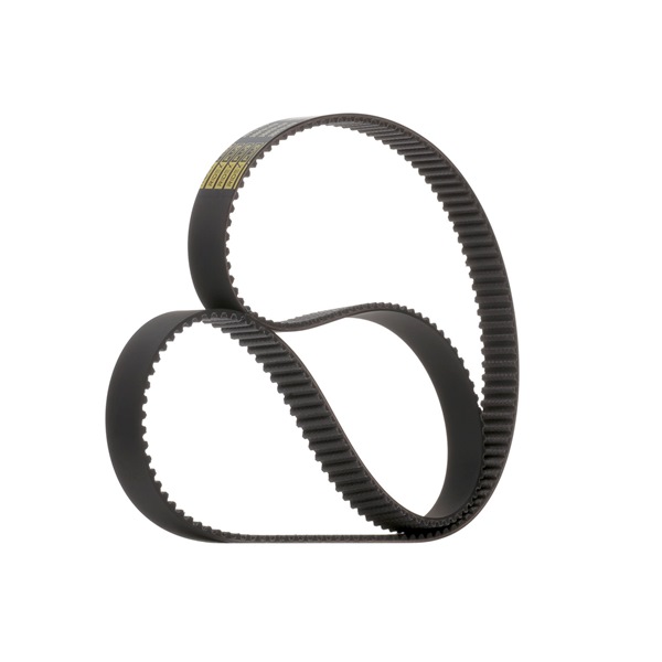 Timing Belt RIDEX 306T0147P 306T0147P - photo 1
