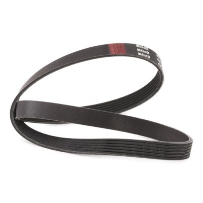 V-Ribbed Belt RIDEX 305P0053P 305P0053P - photo 3
