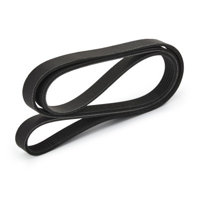 V-Ribbed Belt RIDEX 305P0308P 305P0308P - photo 4