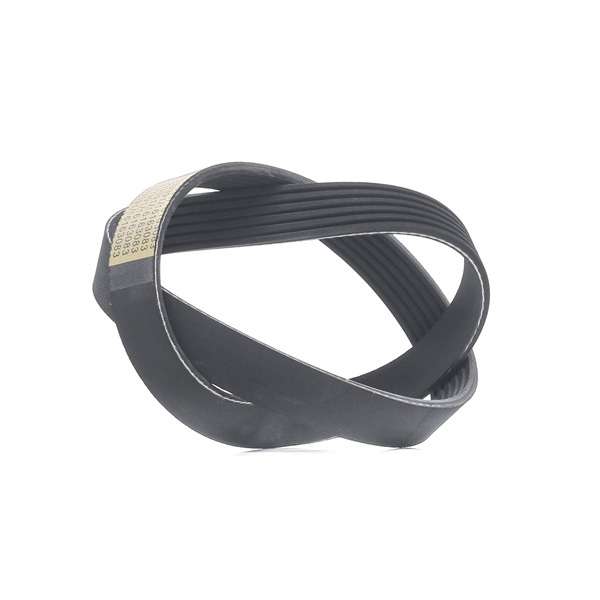 V-Ribbed Belt RIDEX 305P0487 305P0487 - photo 1