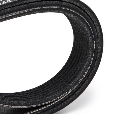 V-Ribbed Belt RIDEX 305P0323P 305P0323P - photo 9