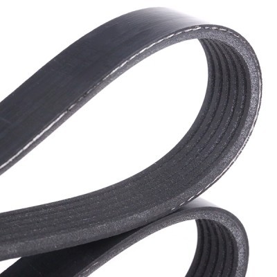 V-Ribbed Belt RIDEX 305P0396 305P0396 - photo 4