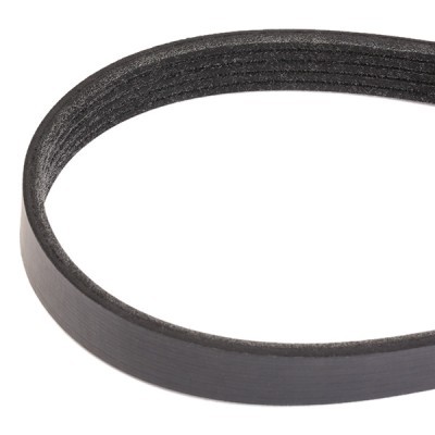 V-Ribbed Belt RIDEX 305P0369 305P0369 - photo 3