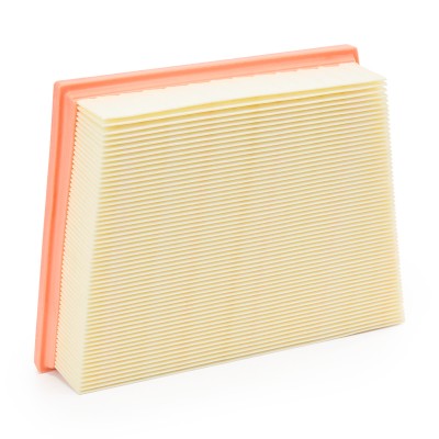 Air Filter RIDEX 8A0866 8A0866 - photo 9