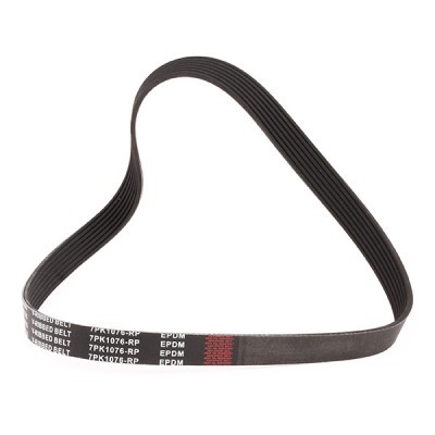 V-Ribbed Belt RIDEX 305P0186P 305P0186P - photo 2
