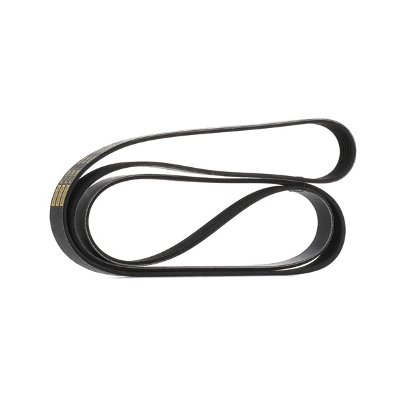 V-Ribbed Belt RIDEX 305P0145P 305P0145P - photo 1