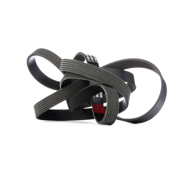 V-Ribbed Belt RIDEX 305P0206 305P0206 - photo 1