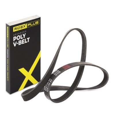 V-Ribbed Belt RIDEX 305P0501P 305P0501P - photo 2