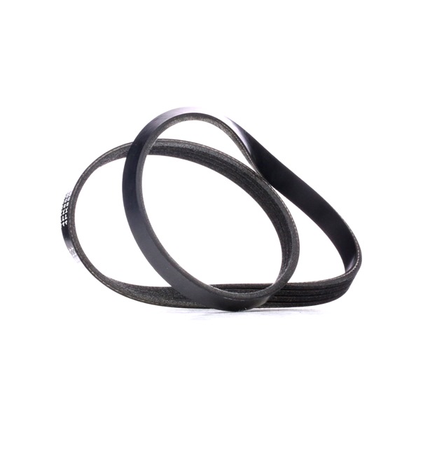V-Ribbed Belt RIDEX 305P0360 305P0360 - photo 1