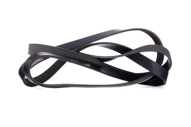 V-Ribbed Belt RIDEX 305P0424 305P0424 - photo 1