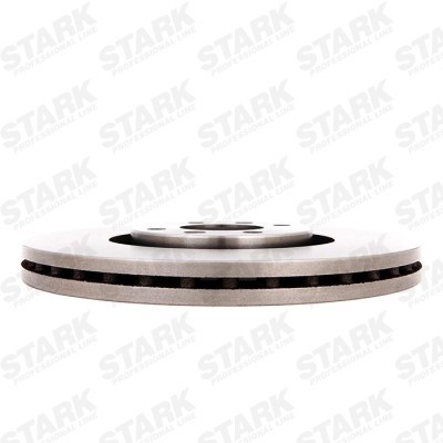 Brake Disc Stark SKBD-0020355 SKBD-0020355 - photo 4